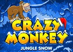 игровой автомат Crazy Monkey Winter